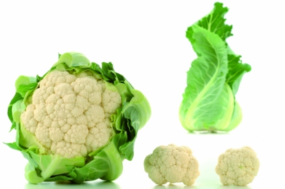 Picture of Cauliflower Atalaya F1