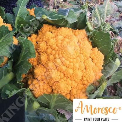 Picture of Cauliflower Romanesco (Amoresco®) Amo 125  F1