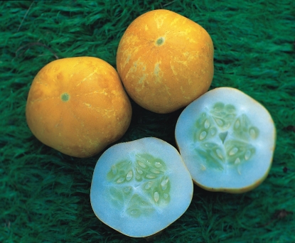 Picture of Cucumber Crystal Lemon