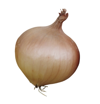 Picture of Onion Sets Sturon 500g Nets - January Delivery