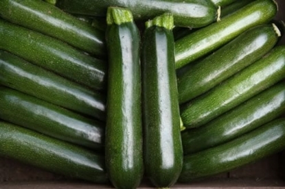 Picture of Courgette Midnight F1