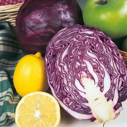 Picture of Cabbage Red Drumhead