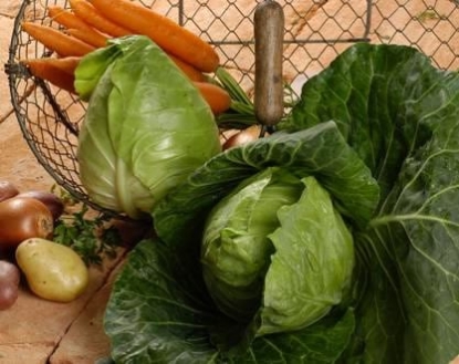 Picture of Cabbage Cape Horn F1