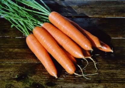 Picture of Carrot Eskimo F1