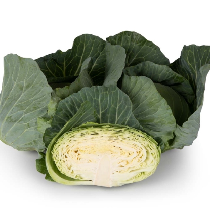 Picture of Cabbage Felicity F1