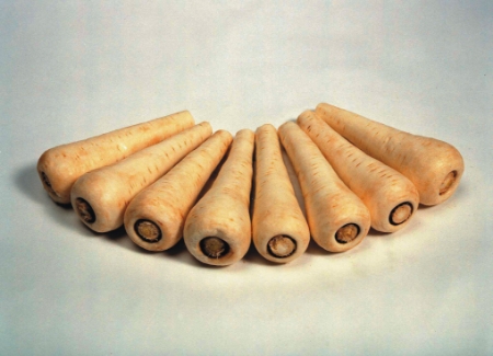 Picture for category Parsnip