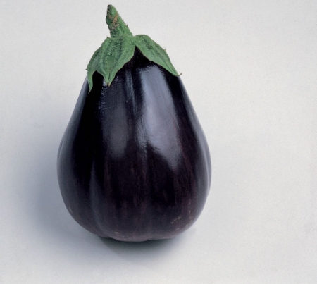 Picture for category Organic Aubergine