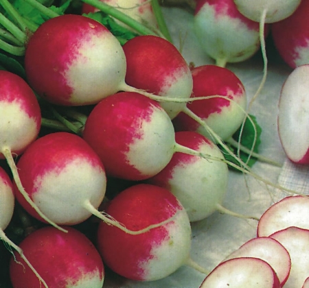 Picture for category Organic Radish