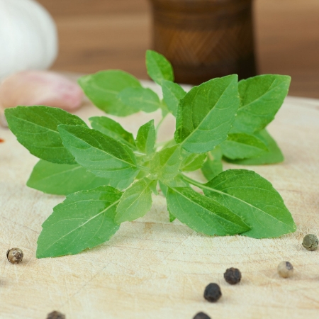 Picture for category Herbs