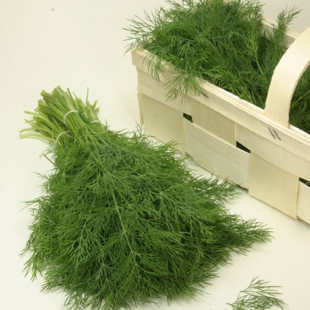 Picture for category Organic Dill