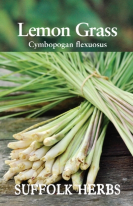 Picture of Lemon Grass