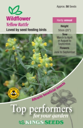 Picture of Wildflower Yellow Rattle