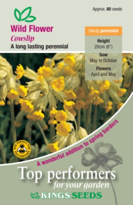 Picture of Wild Flower Cowslip