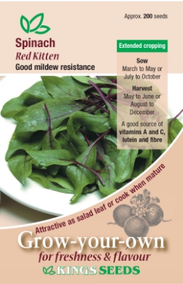 Picture of Spinach Red Vein