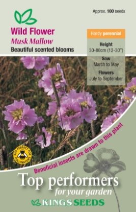 Picture of Wild Flower Musk Mallow