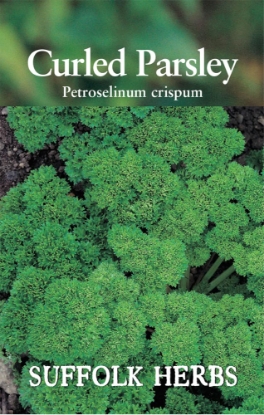 Picture of Parsley Curled