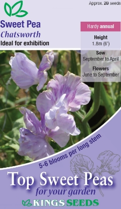 Picture of Sweet Pea Chatsworth