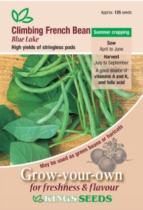 Picture of Climbing French Bean Blue Lake 