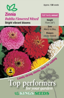 Picture of Zinnia Dahlia Flowered Mixed