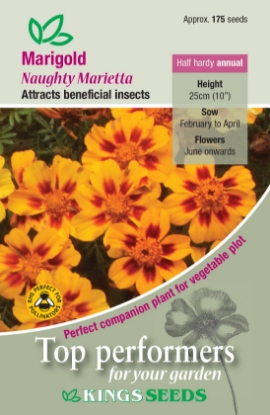 Picture of Marigold French Naughty Marietta