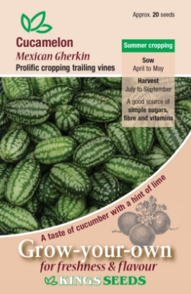 Picture of Cucumber Cucamelon