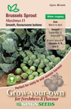 Picture of Brussels Sprout Maximus F1 RHS AGM