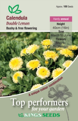 Picture of Calendula Double Lemon
