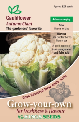 Picture of Cauliflower Autumn Giant