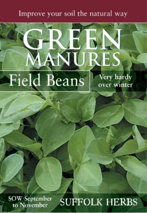 Picture of Field Beans (Pack For 6 Sq.M)
