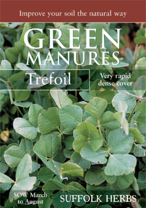 Picture of Trefoil (Pack For 35 Sq.M)