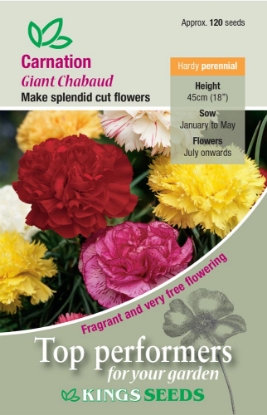 Picture of Carnation Giant Chabaud Mixed
