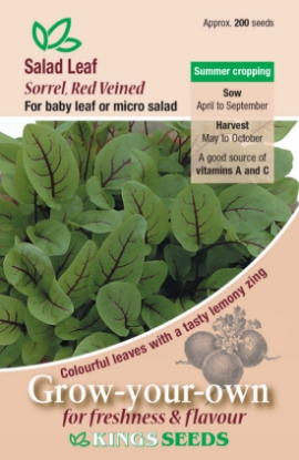 Picture of Salad Leaf Sorrel Red Veined