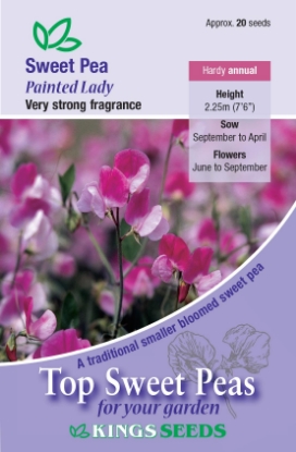 Picture of Sweet Pea Painted Lady