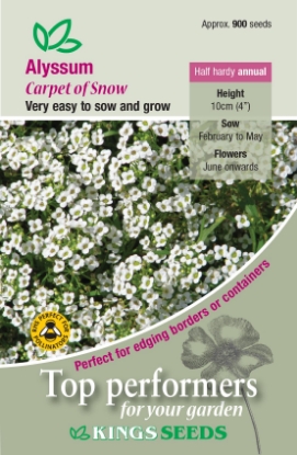 Picture of Alyssum Carpet Of Snow