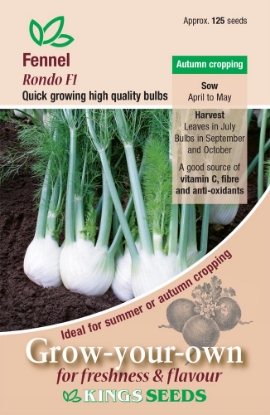 Picture of Fennel Rondo F1