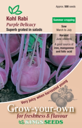 Picture of Kohl Rabi Purple Delicacy