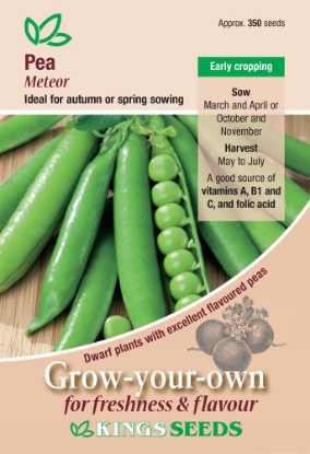 Picture of Pea Meteor 