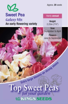 Picture of Sweet Pea Galaxy Mix