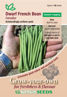 Picture of Dwarf French Bean Faraday 