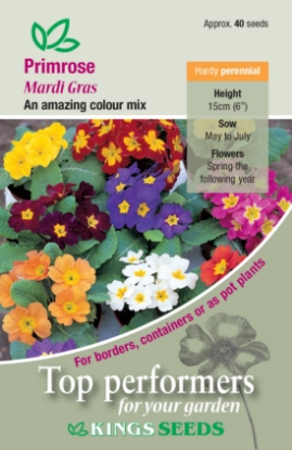 Picture of Primrose Mardigras Mixed