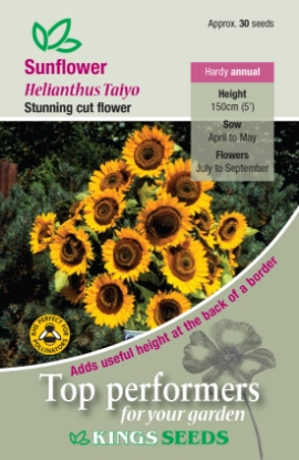 Picture of Sunflower Taiyo