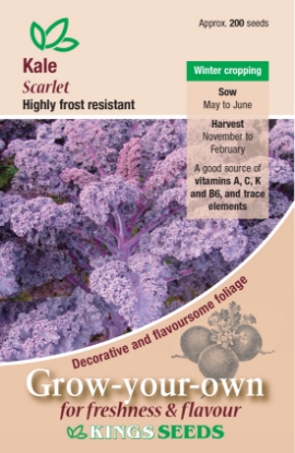 Picture of Kale Scarlet
