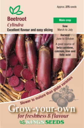 Picture of Beetroot Cylindra