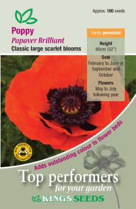 Picture of Poppy Brilliant Scarlet