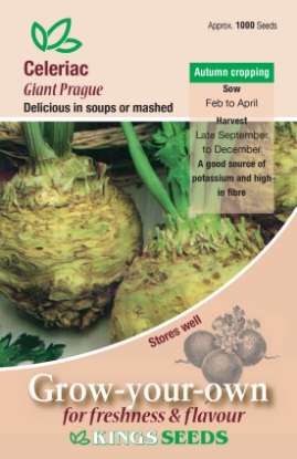 Picture of Celeriac Giant Prague