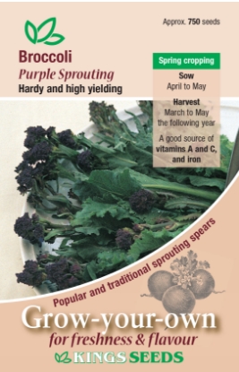 Picture of Broccoli Purple Sprouting