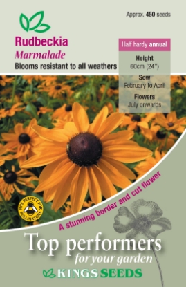 Picture of Rudbeckia Marmalade