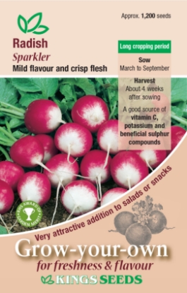 Picture of Radish Sparkler