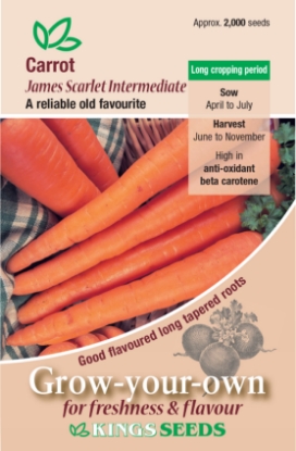 Picture of Carrot James Scarlet Intermediate
