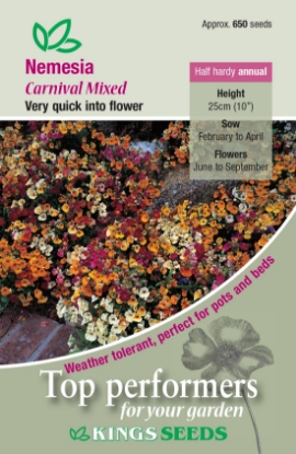 Picture of Nemesia Carnival Mixed